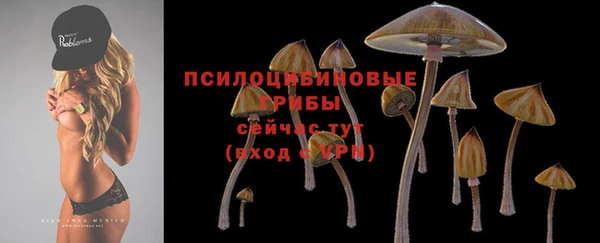 стаф Заволжье