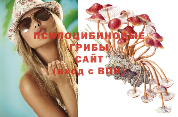 наркотики Заводоуковск