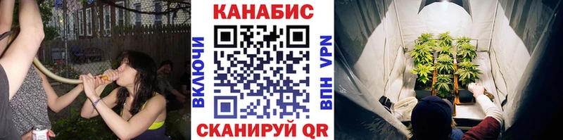Бошки Шишки THC 21%  даркнет сайт  Арзамас 